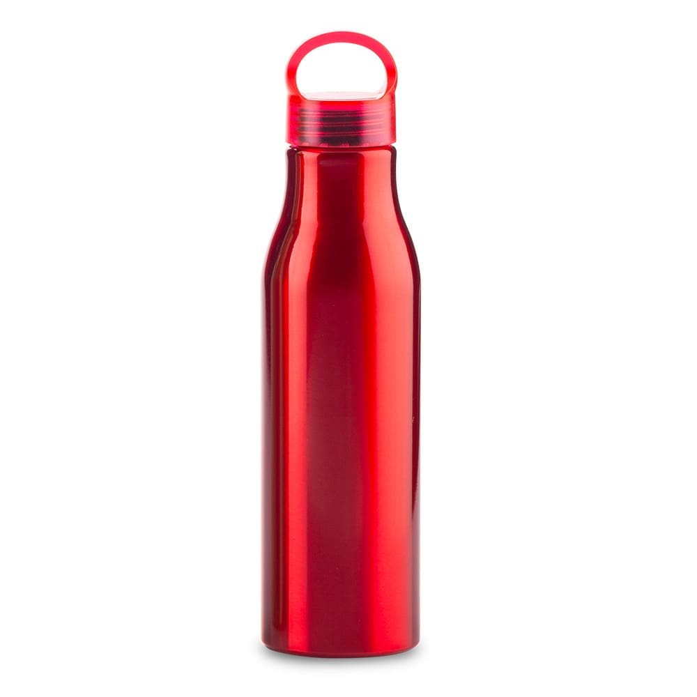 Botilito Metalico Barry 600ml - Image 6